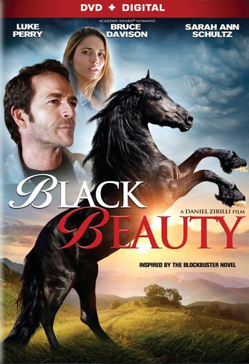 Black Beauty (2015)